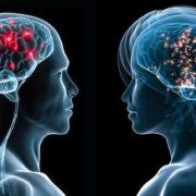 Human Brain Analysis - Man vs. Woman......A MUST READ!