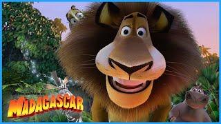 Best Madagascar Movie Moments & Funniest Scenes Ever | EphremTube